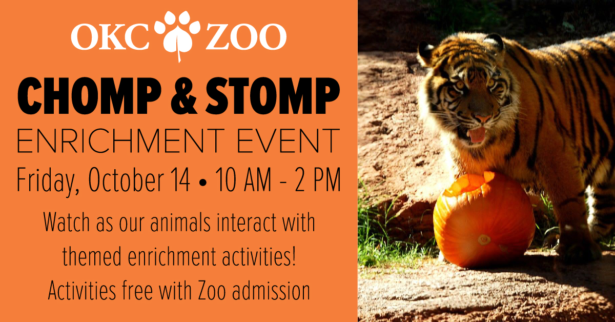 Pumpkin Chomp & Stomp at the Oklahoma City Zoo MetroFamily Magazine