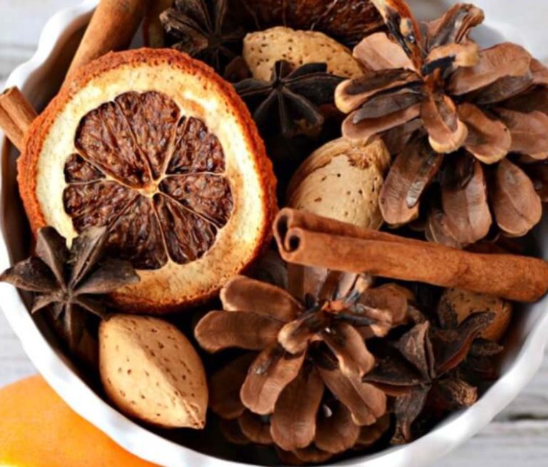 Winter Garden Potpourri at Myriad Gardens MetroFamily Magazine